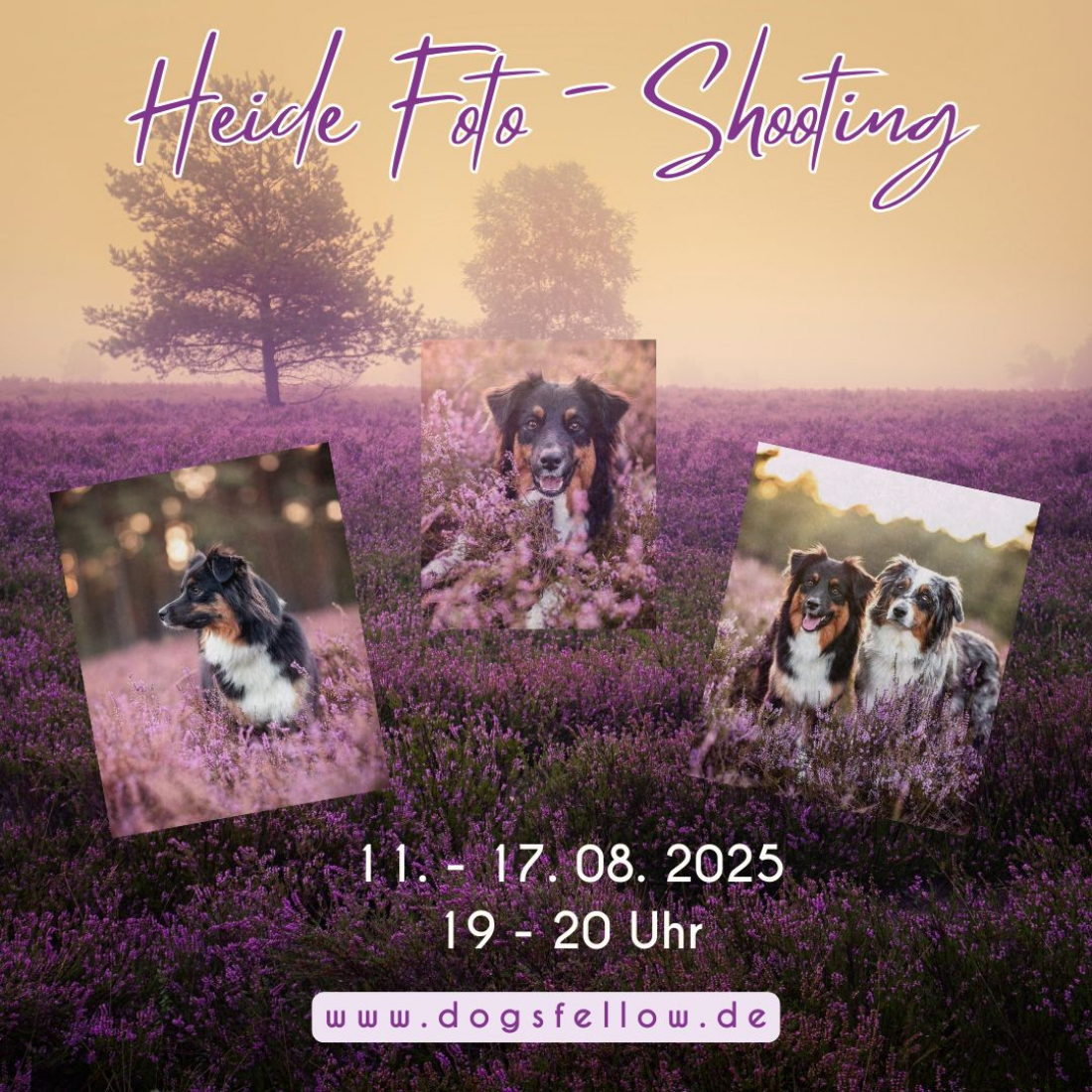 Fotoshooting mit Sophia Mahnke