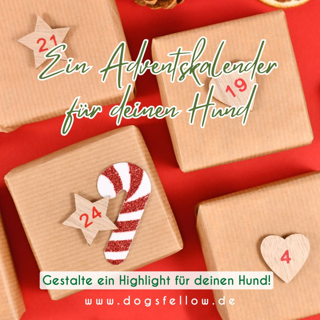 Adventskalender für Hunde gestalten
