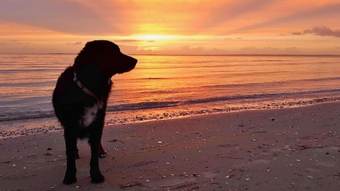 Fotoshooting am Strand