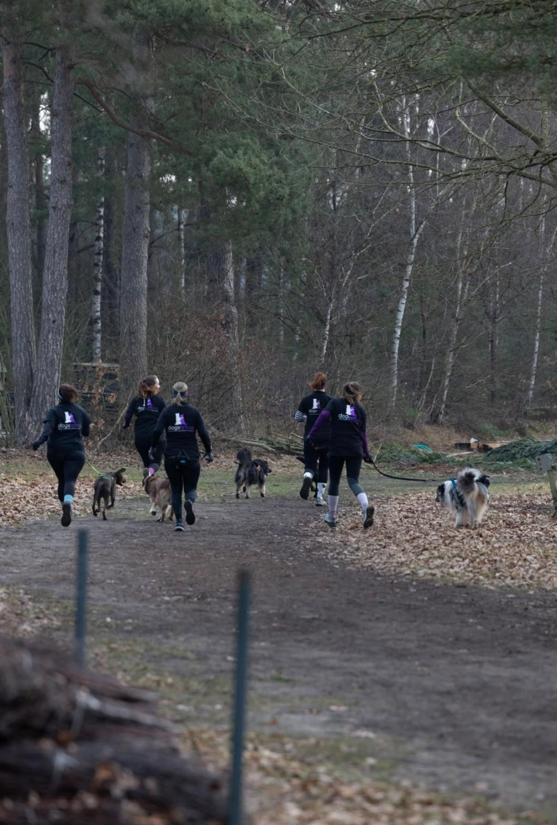 Canicross Trail run